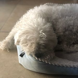 Meet your Posher, Angel